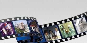 专业企业文化宣传，点亮临安企业风采——宏人影视免费策划、摄像及制作服务